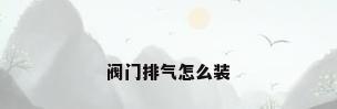 阀门排气怎么装