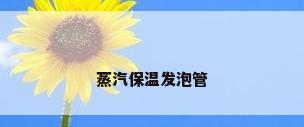 蒸汽保温发泡管