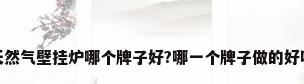 天然气壁挂炉哪个牌子好?哪一个牌子做的好呢