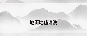 地面地毯清洗