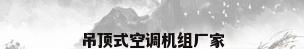 吊顶式空调机组厂家