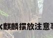 风水麒麟摆放注意事项