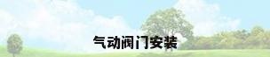 气动阀门安装