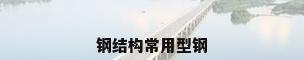 钢结构常用型钢