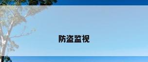 防盗监视