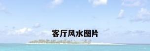 客厅风水图片