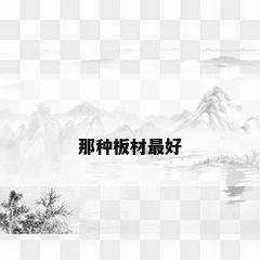 那种板材最好