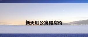 新天地公寓楼房价