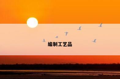 编制工艺品