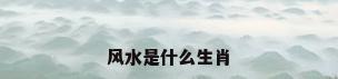 风水是什么生肖