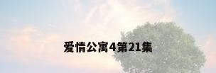 爱情公寓4第21集
