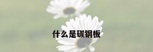 什么是碳钢板