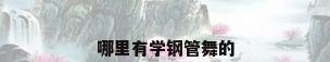 哪里有学钢管舞的