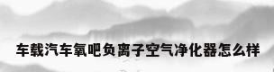 车载汽车氧吧负离子空气净化器怎么样