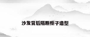 沙发背后隔断柜子造型