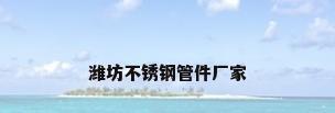 潍坊不锈钢管件厂家