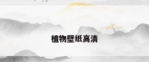 植物壁纸高清