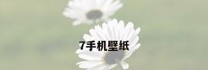7手机壁纸
