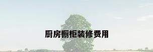 厨房橱柜装修费用