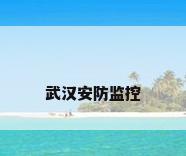 武汉安防监控