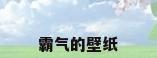 霸气的壁纸