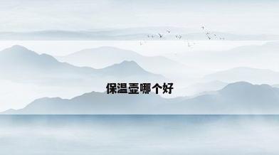 保温壶哪个好