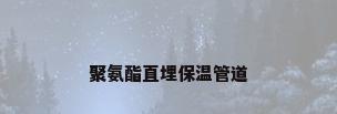 聚氨酯直埋保温管道