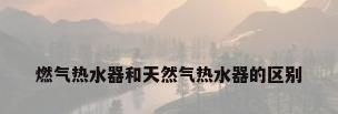 燃气热水器和天然气热水器的区别