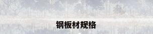 钢板材规格