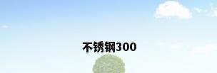 不锈钢300