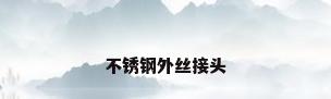 不锈钢外丝接头