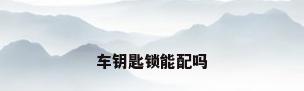 车钥匙锁能配吗