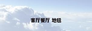 客厅餐厅 地毯