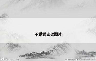不锈钢支架图片