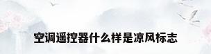 空调遥控器什么样是凉风标志