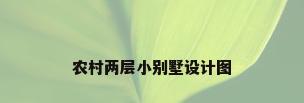 农村两层小别墅设计图
