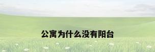 公寓为什么没有阳台