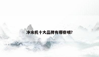 净水机十大品牌有哪些哦?