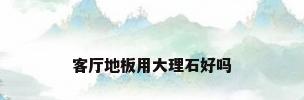 客厅地板用大理石好吗