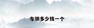 车锁多少钱一个