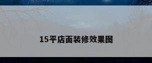 15平店面装修效果图