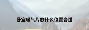 卧室暖气片放什么位置合适
