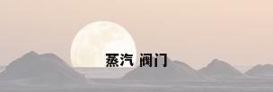 蒸汽 阀门