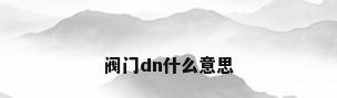 阀门dn什么意思