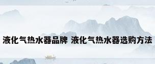 液化气热水器品牌 液化气热水器选购方法