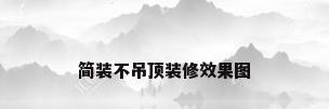 简装不吊顶装修效果图