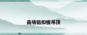 商场铝扣板吊顶