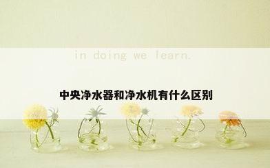 中央净水器和净水机有什么区别