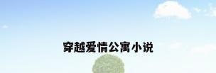 穿越爱情公寓小说