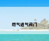 燃气进气阀门
